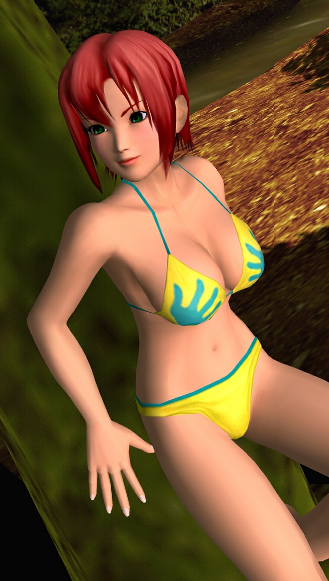 Dead or Alive: Paradise
